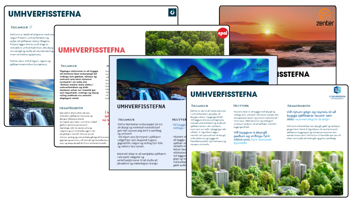 Umhverfisstefnan í heild sinni